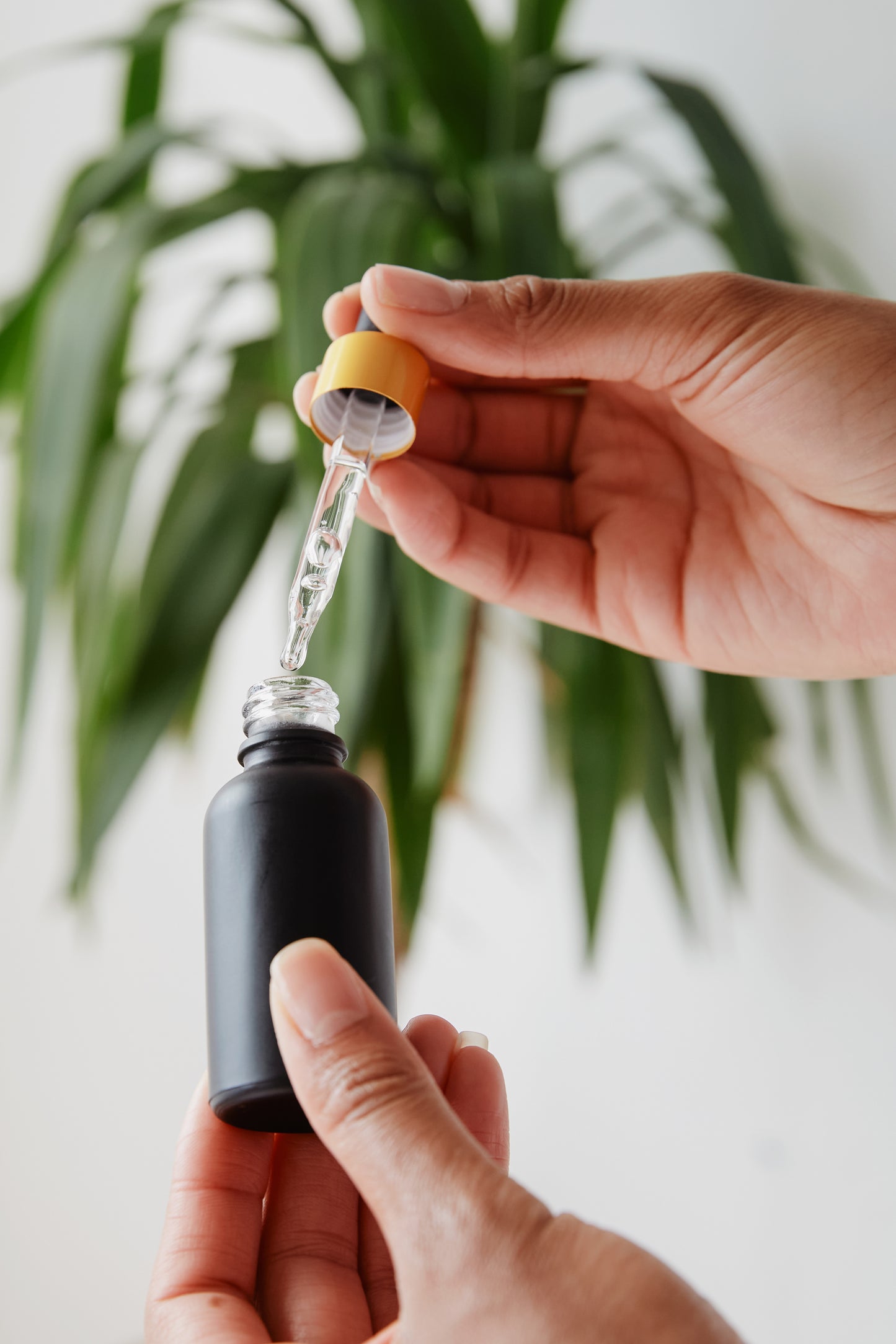 Restore Botanical Serum – Tone & Revitalize